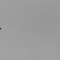 Duxford 2016 Flying Legends